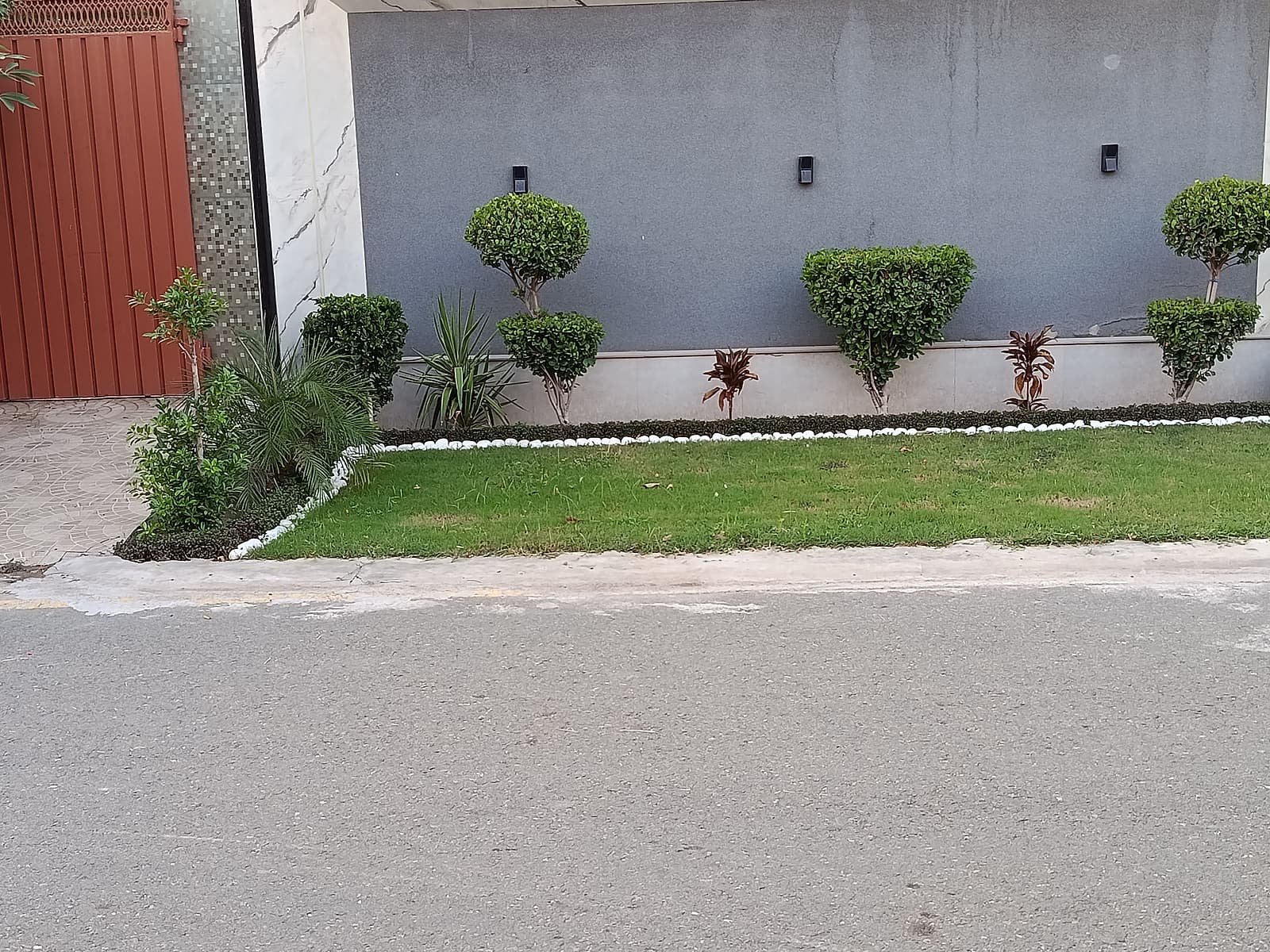Make a New Lawn