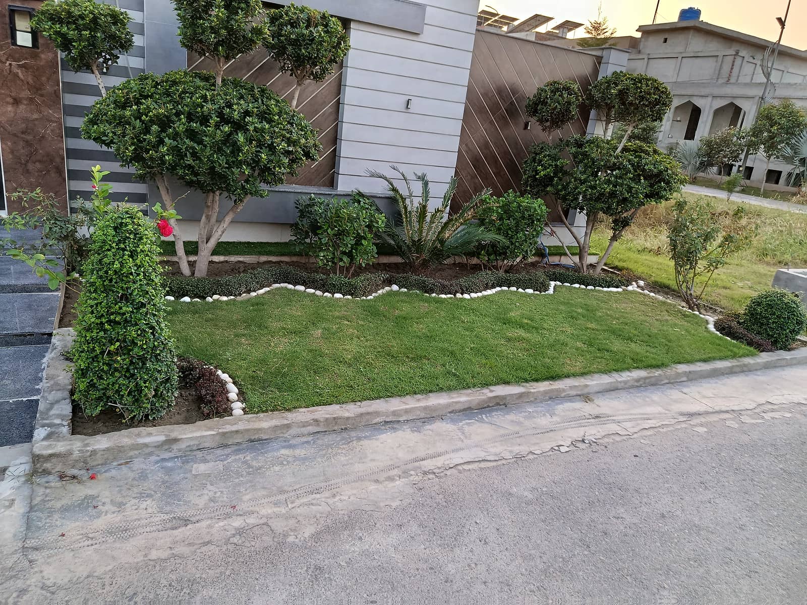 Make a New Lawn