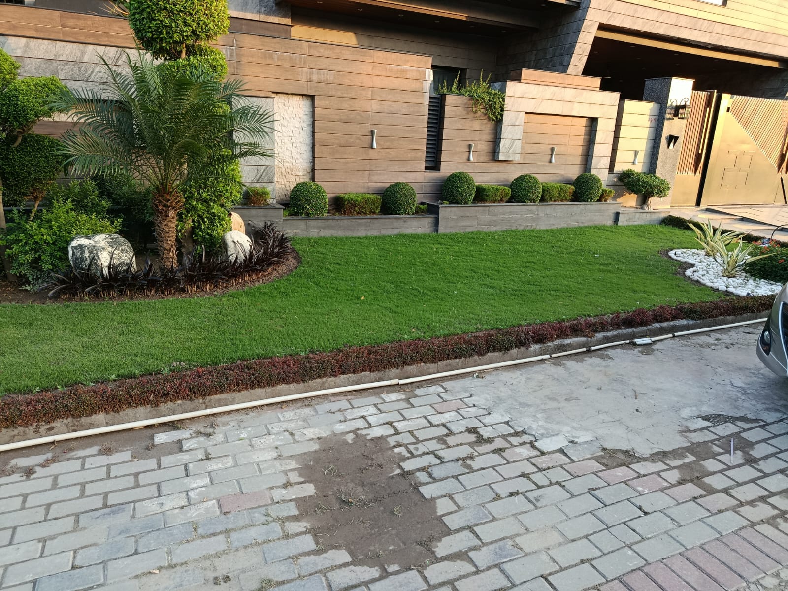 Make a New Lawn